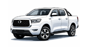 Seguro automotriz Great Wall