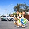 Seguro automotriz en la comuna de Lo Espejo